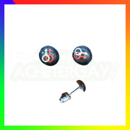 Boucles d'oreilles gay