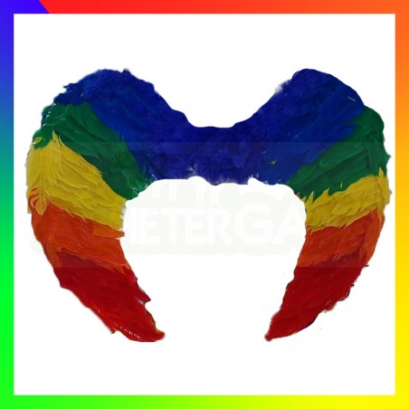 Alies d'anges Rainbow