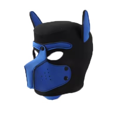 dog training dog training