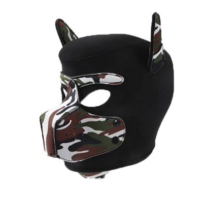 Dog training Dog training