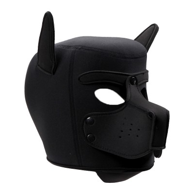 Masque de chien, puppies Masque de chien, puppies