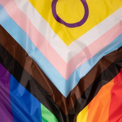 Tous les drapeaux gays pour marcher avec fierté sur les gay pride