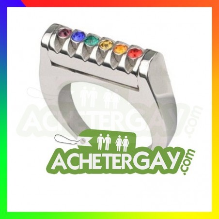 Bague LGBT Eternity Ring