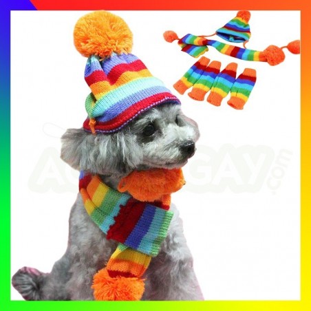 Tenue rainbow pour chien