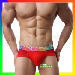 Boxer rainbow gay Boxer rainbow gay