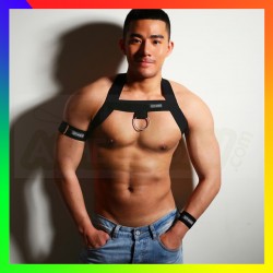 Harnais sexy gay en spandex noir avec tour de bras Harnais sexy gay en spandex noir avec tour de bras