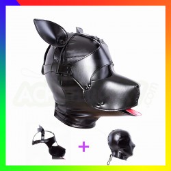 masque dog training masque dog training