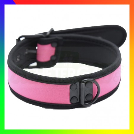 Collier dog training rose