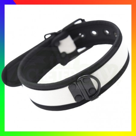 Collier dog training blanc