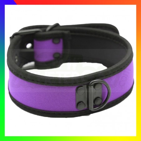 Collier dog training violet